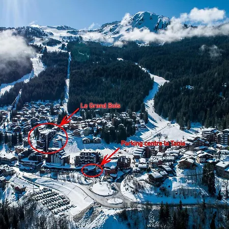 Confortable 2 Pieces, Skis Aux Pieds, Proche Commerces - Fr-1-182a-3