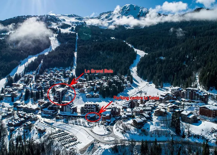 Confortable 2 Pieces, Skis Aux Pieds, Proche Commerces - Fr-1-182a-3