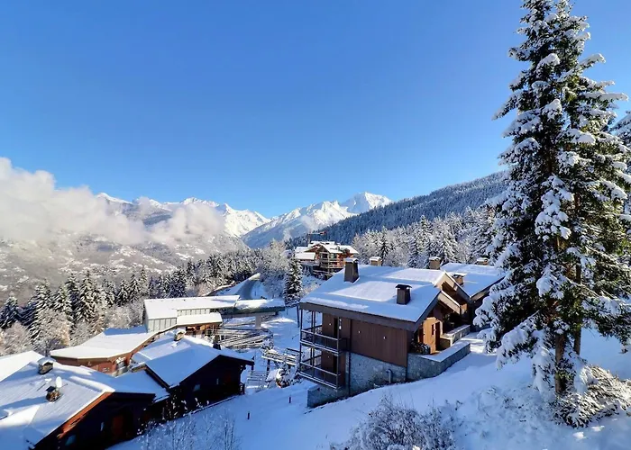 Confortable 2 Pieces, Skis Aux Pieds, Proche Commerces - Fr-1-182a-3 Courchevel