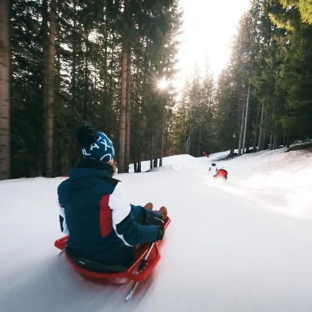 Confortable 2 Pieces, Skis Aux Pieds, Proche Commerces - Fr-1-182a-3 *