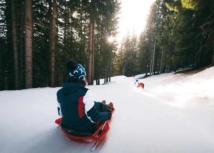 Confortable 2 Pieces, Skis Aux Pieds, Proche Commerces - Fr-1-182a-3 *